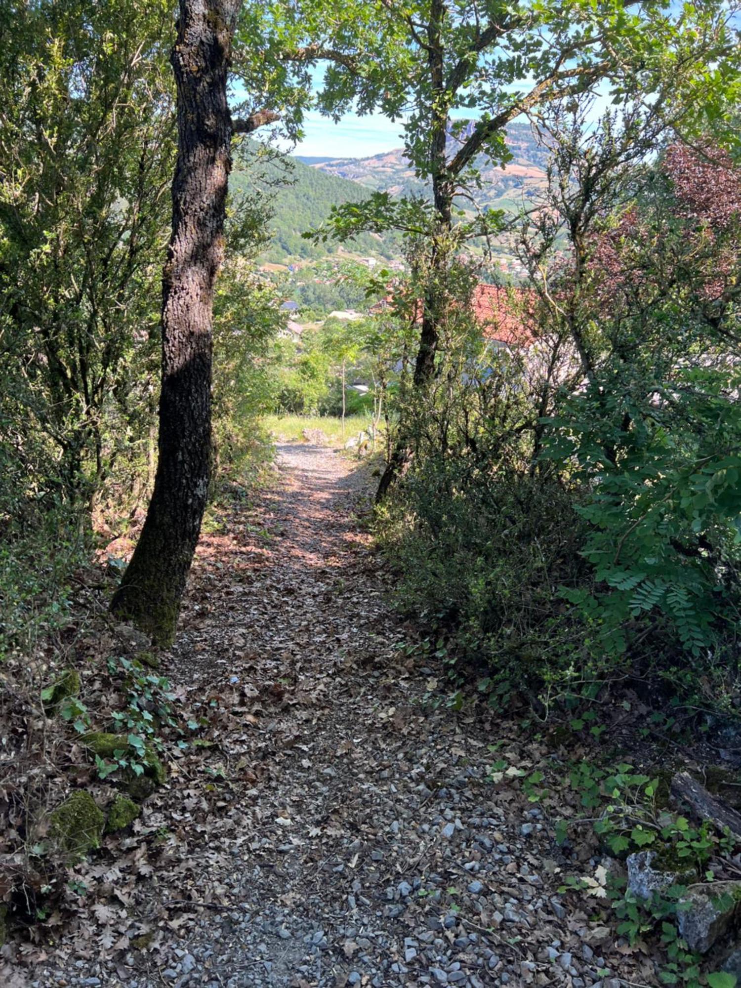 Gite La Cerise Qui Rit La Cresse Εξωτερικό φωτογραφία