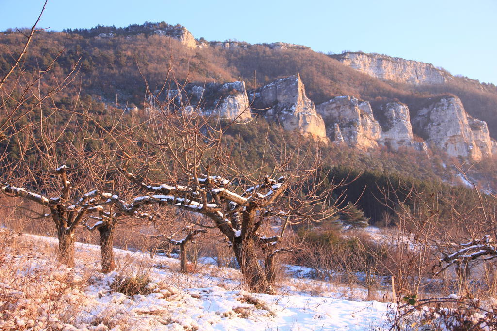 Gite La Cerise Qui Rit La Cresse Δωμάτιο φωτογραφία